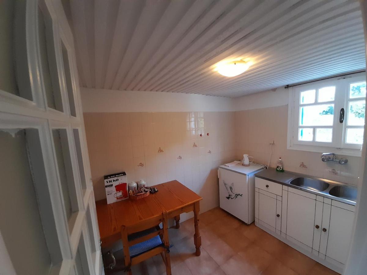 Pension Selenti Tinos Bagian luar foto